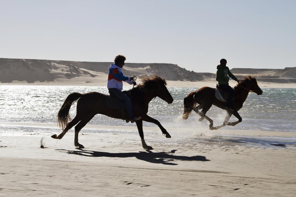 Dakhla Evasion Ξενοδοχείο Εξωτερικό φωτογραφία